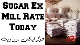 Sugar Ex Mill Rate Today | Cheeni K Rate Main Izafa | Today Sugar Price In Sugar Mill 01 Feb 2024