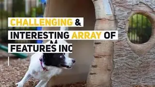 Dog Park Planning Tips | Essential Dog Park Equipment