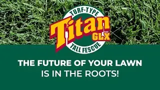 Titan GLX: The Future of Your Lawn is in the Roots!