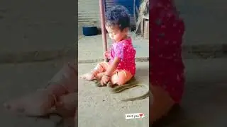 Child like a god doesn't did snake to kids because of kids like a god that why #funny #tiktok#keşfet