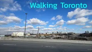 Walking North York Toronto's Silver Hills District 11/20/2025