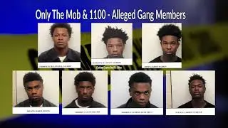 Savannah Police Department - Gang Arrests
