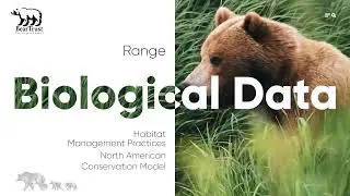 Grizzly Bears: Ready for Delisting?