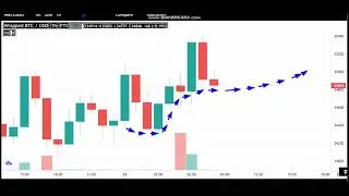 29-6 -Wrapped Bitcoin (WBTC)  News - Analysis Today-(WBTC)) Price chart.(WBTC)  Latest Price