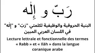 البنية الحروفية والوظيفية لكلمتي 