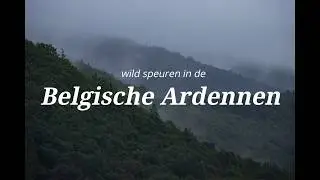 Wildbelevenissen in de Ardennen