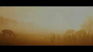 Прямой показ PS4 от Easy_4ch Rdr 2