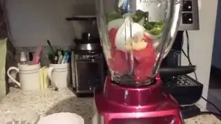 Making Salsa In My Oster Dual Action Blender