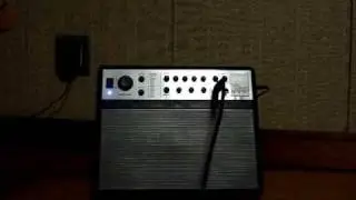 AXL Guitars／THIN AMP delay Review