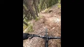 Feeling good on the bike again #mtblife #bike #alberta #downhill #mtb #canada #alltime