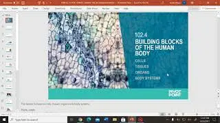 Building Blocks of the Human Body