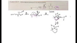 Cyclic Ester Mechanism [ORGANIC CHEMISTRY] Smith 22.21