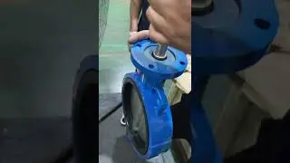 Bushing and O ring  The part of butterfly valve 2