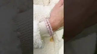 Handmade Rose Quartz Beaded Bracelet and Handmade Pink Jade Apple Watch Bracelet