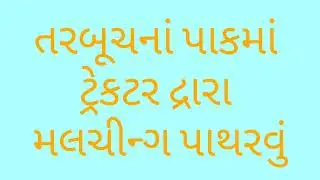તરબૂચ પાકમાં મલચીન્ગ / mulching in field by Tractor