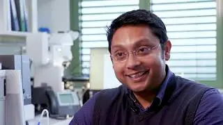 FNR ATTRACT Fellows: Anupam Sengupta (biophysics)