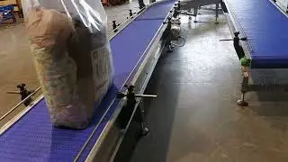 Material Handling Modular Belt Conveyor System | Custom Built with Sensors and Guides
