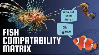 Avoid Fish Tank Disasters: Compatibility Guide