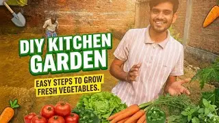 Easy step to grow fresh vegetables||organic vegetables #desikheti #sabjikikheti 
