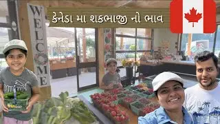કેનેડા મા શકભાજી નો ભાવ |Grocary price in canada| gujarati in canada|life in canada| gujarati family