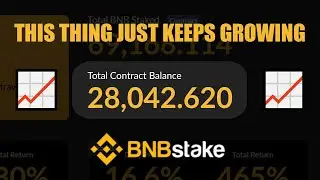 #BNBSTAKE Just Keeps on Growing!  Does the Expiration Date Depend Entirely on the Community?