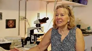 Social Sciences Q&A with Professor Maria Masucci
