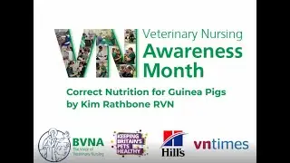 Kim Rathbone - 