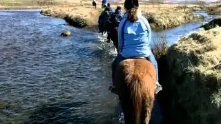 Riding Icelandic Horses at Laxnes Horse Farm