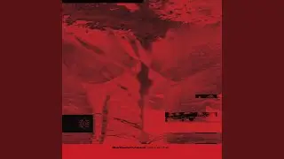 Life Force