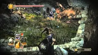 Dark Souls 2 Use Ashen Mist at Forest of Fallen Giants