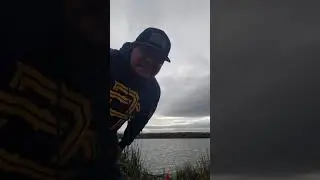 Catching Stripers with Mud Suckers live bait