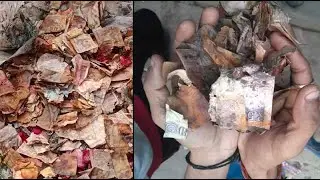 Sack of burnt notes recovered at Kalighat | Sangbad Pratidin