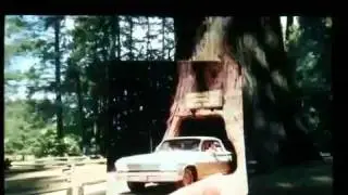 Chevy Runs Deep