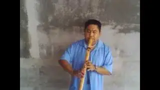 The Hobbit: Misty Mountains Cold: (Native style flute cover)