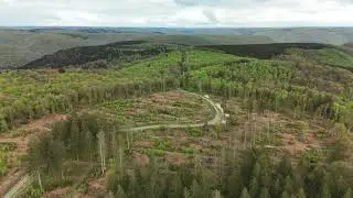 Le Champ Bernard un beau paysage des Ardennes parmi tant d'autres.