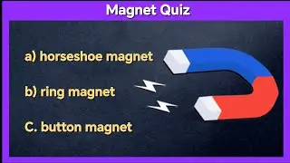 Magnet Quiz