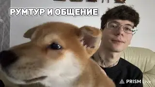 ДЕНУС общается с чатом пока ВАНДЕНИЗКА спит + РУМТУР