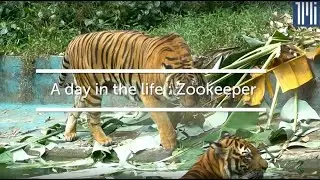 A day in the life: Zookeeper