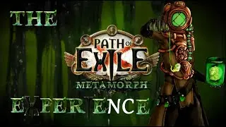 The Metamorph Experience