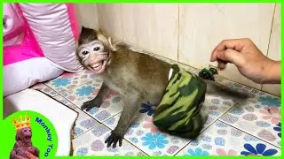 Monkey Too Bathed With Baby Toy