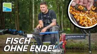 Alarm mit der Feederrute! Biss auf biss beim Videodreh mit Benny Schr&ouml;der!