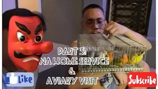 Part 3: DNA Home Service & Aviary Visit || Subaybayan ang Istorya ng Buhay Mag iibon