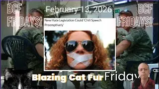 Blazing Cat Fur Fridays - February 13, 2026