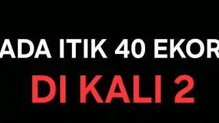 LOGIKA PLUS MATEMATIKA...