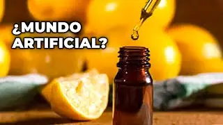 Revolución Artificial: Más Presente de lo que Imaginamos - Documental