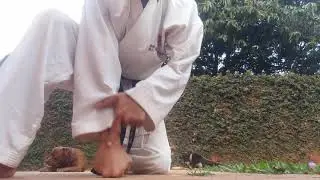 ¿Como hacer flexiones de puño para  karate?