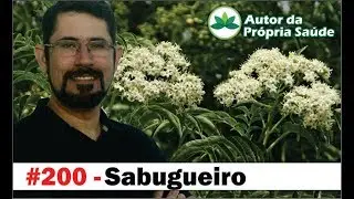 Autor da Pr&oacute;pria Sa&uacute;de - Sabugueiro [Gripe, diabetes, piolhos, antibi&oacute;tico, depress&atilde;o]