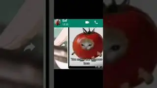sound up #unpocoloco #cats #trend #funny#friends#coco#disney#fyp#cute#films#pixar#youtube