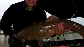 Thunder storms and Catfish