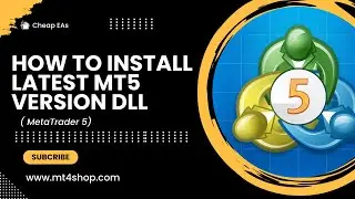 Instructions for installing the latest MT5 DLLs 2024